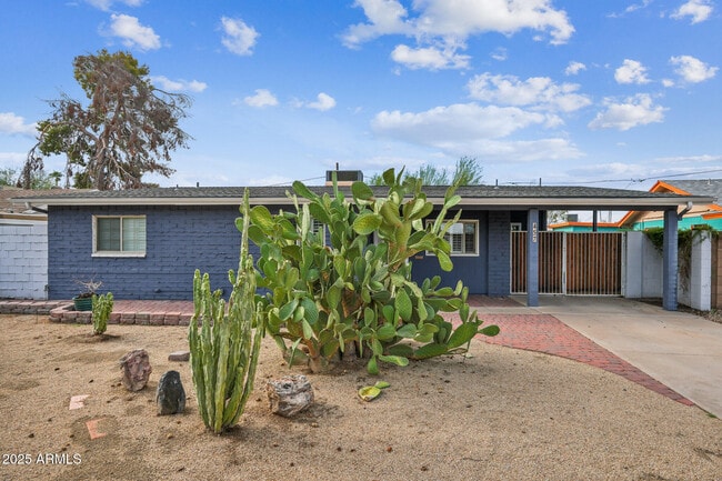 Building Photo - 457 W Mulberry Dr