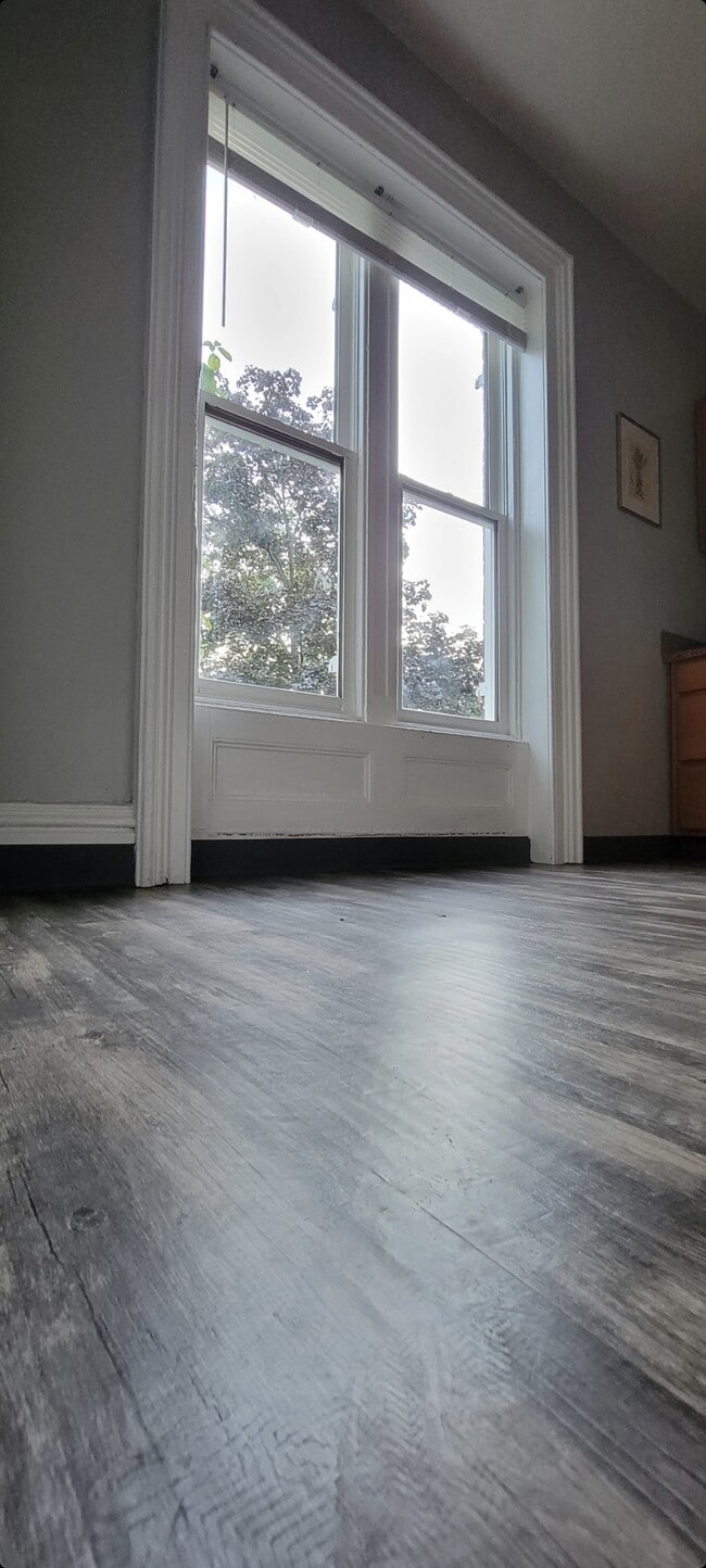 Kitchen windows facing tree lined street - 176 Montgomery St