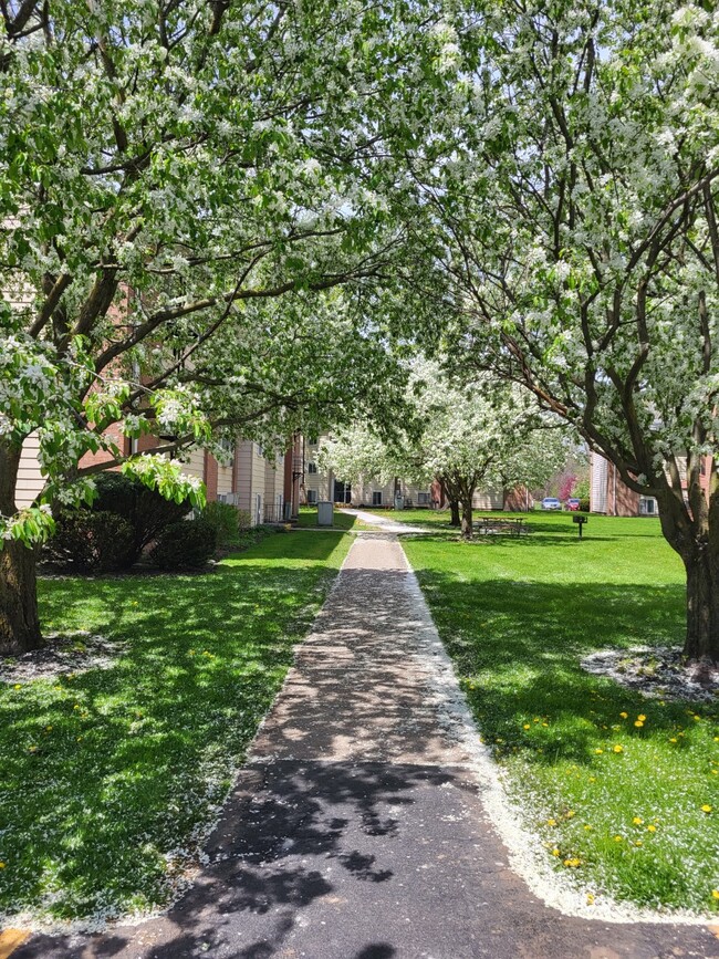 Courtyard - Geneseo Heights Apartments