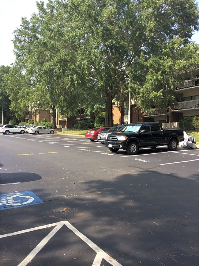 Parking Lot - 500 Umstead Dr