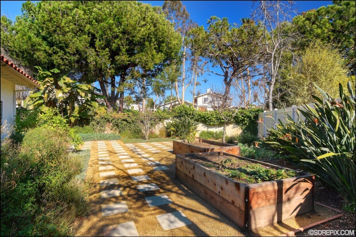 Building Photo - 4296 Caminito Cassis