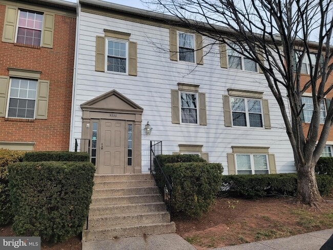 Photo - 9220 Niki Pl Apartment