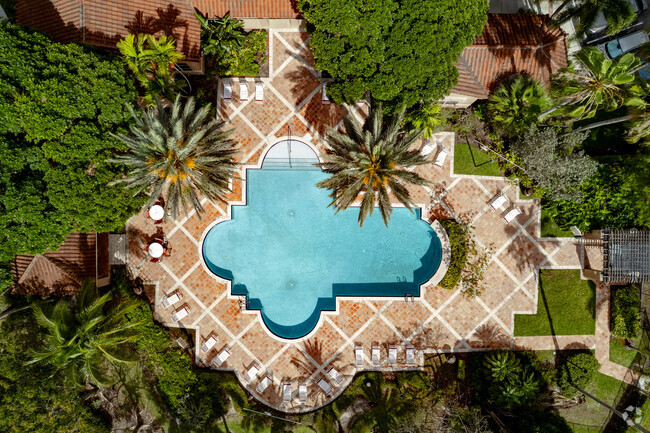 Piscina - Carrington At Coconut Creek