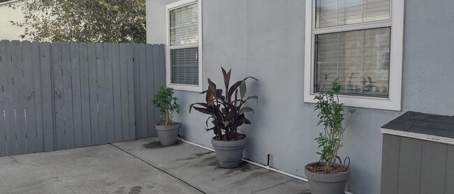 Plants and flowers along driveway - 3722 Marwick Ave