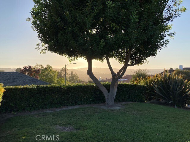 Building Photo - 25262 Via Piedra Roja