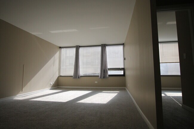 Foto del edificio - 233 E Erie St
