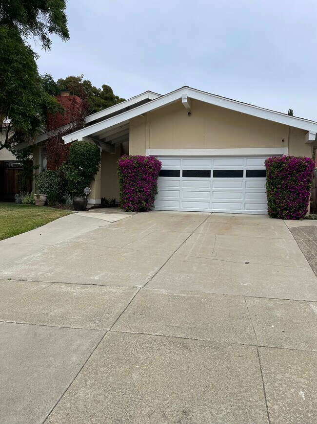 View of home - 1720 Ridgetree Way