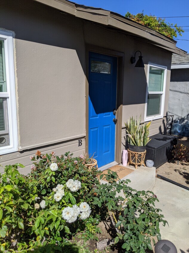 Front door - 252 Walnut St