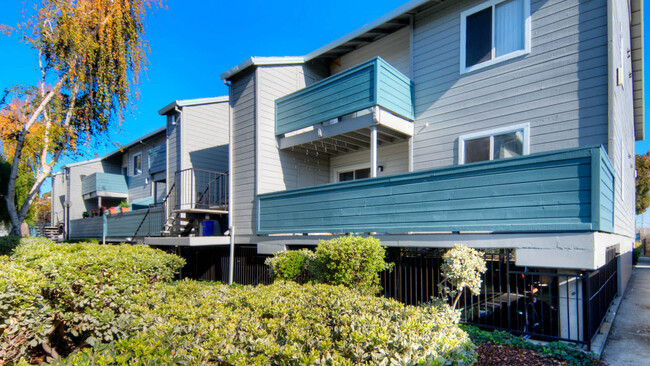 Creekside Apartments Building and Walkways - Creekside