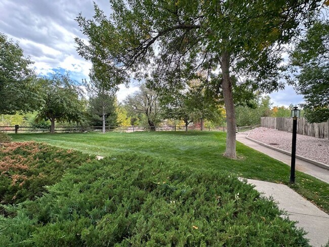 Building Photo - Spacious Main-level Living in D-20 on the ...