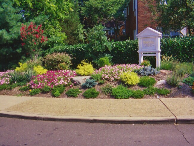 There's always something in bloom in Parkfairfax. - 1128 Valley Dr