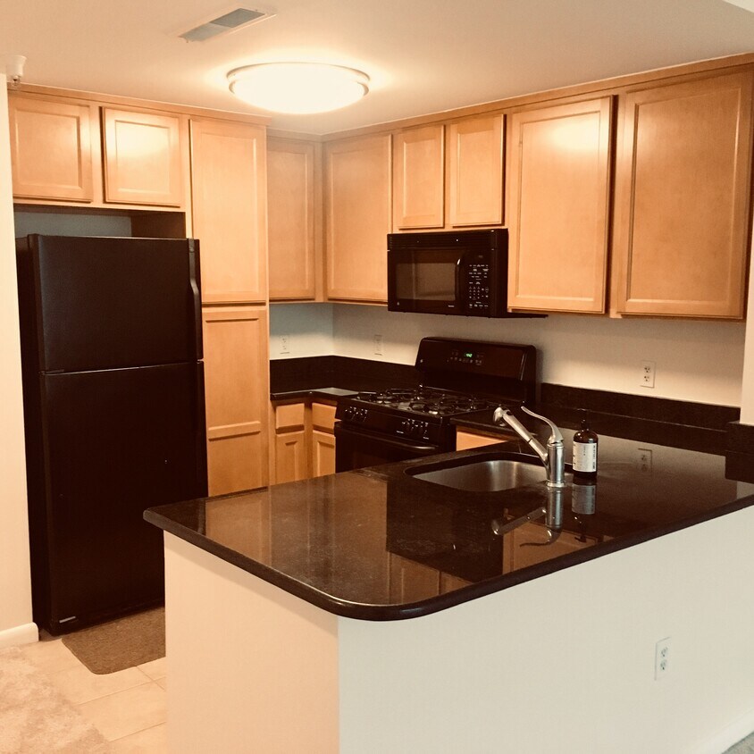 355 I St SW Unit 118, Washington, DC 20024 Condo for Rent in
