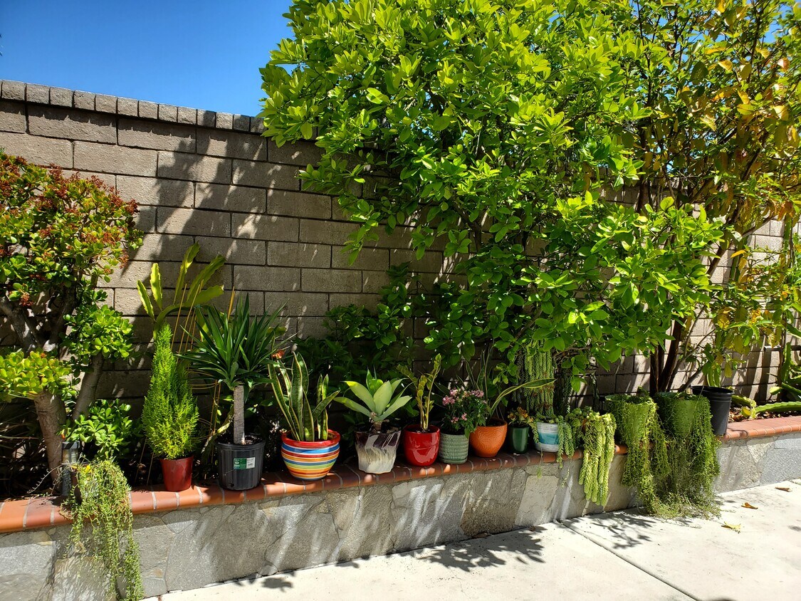 Foto del edificio - 10151 Andy Reese Ct