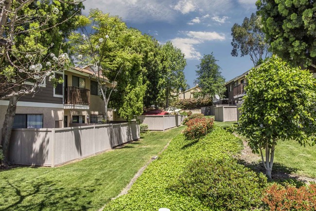 Foto del edificio - SERRANO HIGHLANDS APARTMENT HOMES