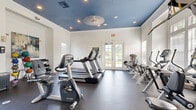 Located in Tampa, FL, this fitness center offers a comprehensive, single-floor workout facility designed to support a wide range of exercise routines. The space is immediately distinguished by its bold navy-blue ceiling accented with recessed lighting and crown molding, contrasting elegantly against crisp white walls to create an energizing yet polished atmosphere.

The room is generously equipped with a full lineup of Cybex cardio machines, including multiple treadmills, upright and recumbent exercise bikes, and elliptical trainers, providing ample options for cardiovascular workouts. A dedicated strength training area features a cable/functional training tower, along with a well-stocked dumbbell rack and a colorful medicine ball station, catering to both resistance and functional fitness training.

Natural light flows freely through multiple windows fitted with plantation-style blinds, as well as a set of glass-panel French doors that open to the outdoors, offering views of the surrounding greenery. A large wall mirror enhances the sense of space and aids in form monitoring during workouts. Durable rubber flooring covers the entire area, providing both safety and comfort underfoot. The layout is thoughtfully organized, allowing users to move between equipment with ease, making this fitness center a practical and well-appointed amenity.