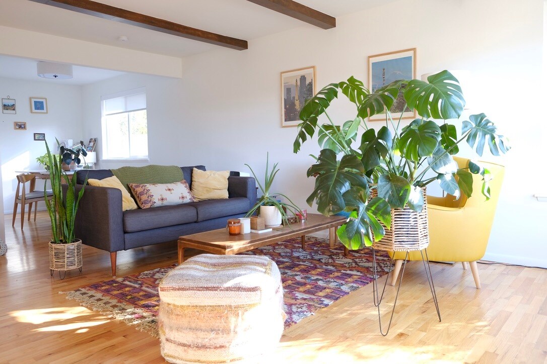 Bright living room w/ - 8818 22nd Ave SW