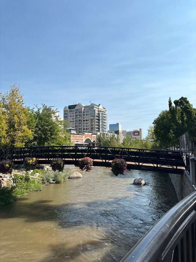 Building Photo - 280 Island Ave