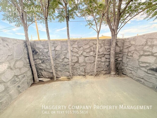 Building Photo - 1491 E Alamo-