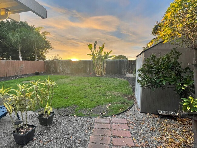 Private backyard - 10480 Bedfont Cir