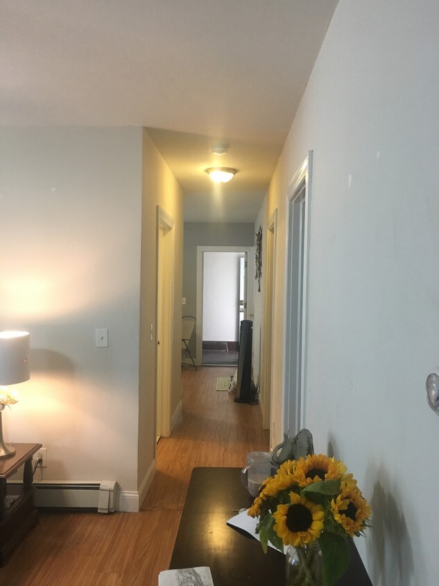 Newly Updated - 85 Garden St