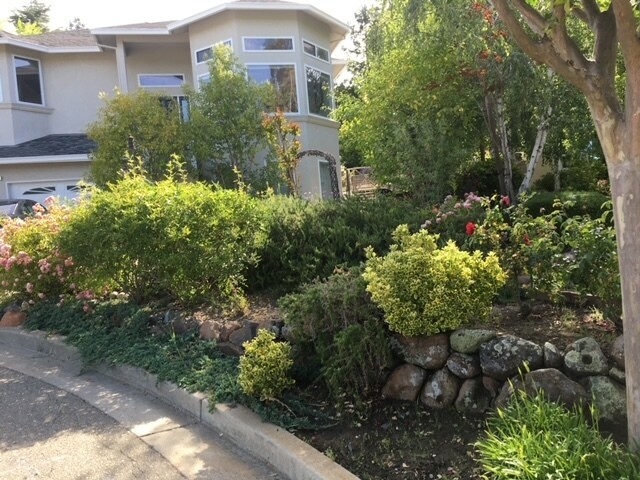 viejo - 165 Ramona Rd