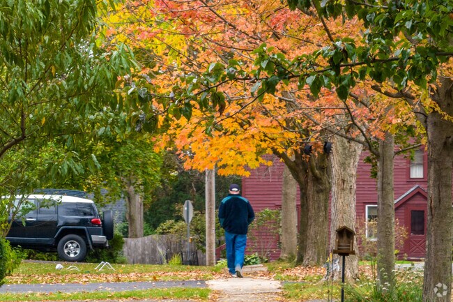 Residents of Fayetteville love to take walks on the tree covered sidewalks.