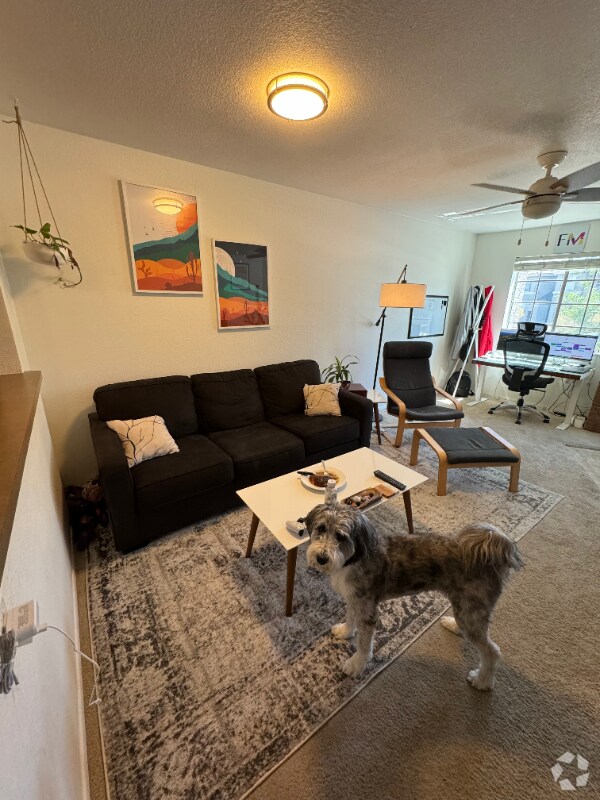 Ridge at Lookout Mountain Apartments for Rent with Utilities Included