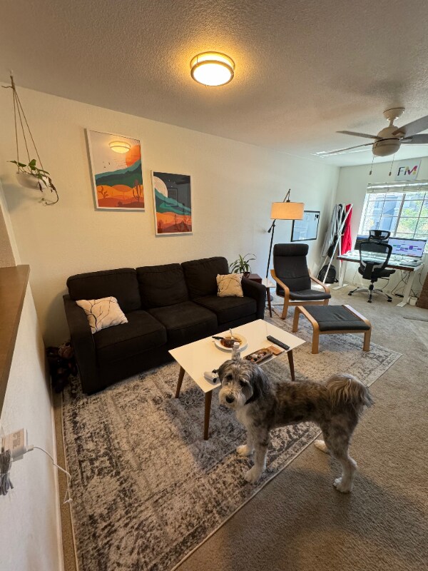 1720 E Thunderbird Rd Unit 2011, Phoenix, AZ 85022 Condo for Rent in