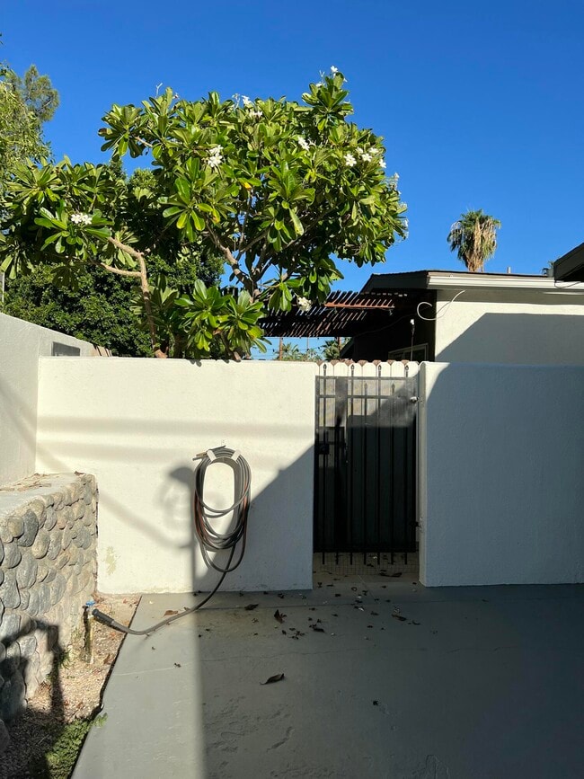 Building Photo - 573 S Calle Palo Fierro