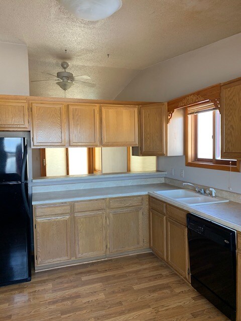 Building Photo - 3921 Hampton Ct