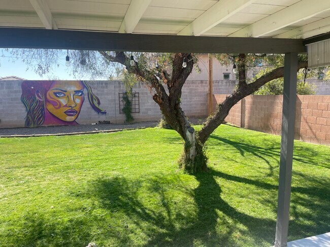 Backyard lawn - 911 E San Juan Ave