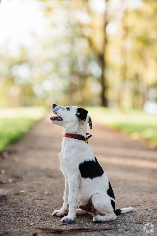 Kingsgate Apartments for Rent Kirkland, WA 244 Rentals