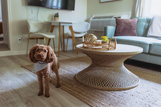 Building Photo - 308 Lamont St