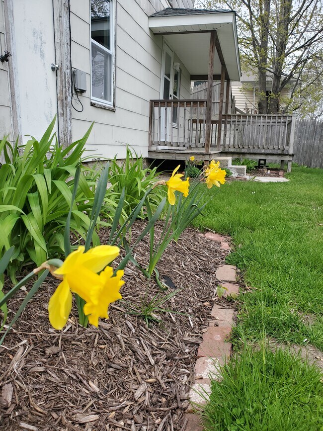 Foto del edificio - 215 Madison St