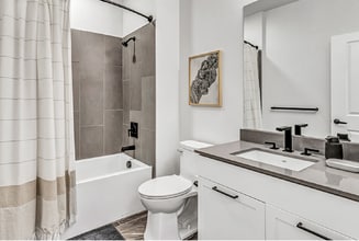 Interior Photo - Olive & Wooster