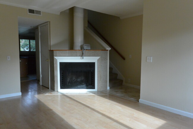 Fireplace - 39901 Lindsay McDermott Ln