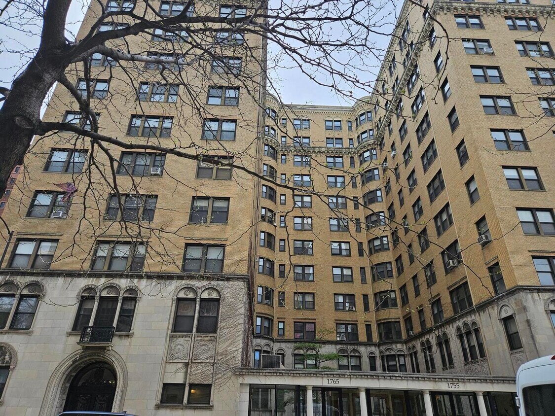 1765 E 55th St Unit A7, Chicago, IL 60615 Condo for Rent in Chicago