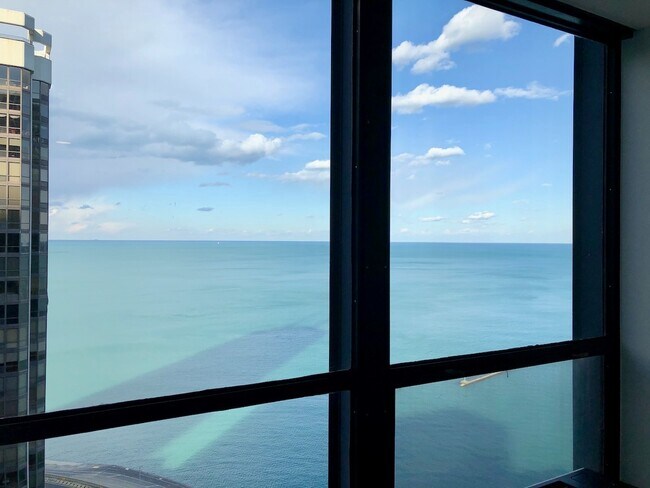 Foto del edificio - 900 N Lake Shore Dr
