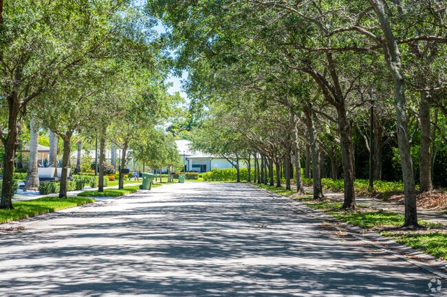 Tree-lined streets with paved sidewalks encircle Swan Lake.