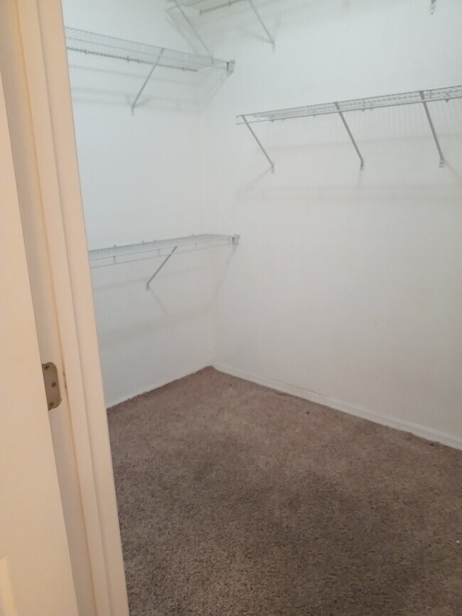 Building Photo - 3504 Umbrella Tree Dr