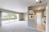 Located at 31200 Morlock St in Livonia, Michigan, this two-bedroom, one-bathroom residence offers a practical and comfortable single-floor layout. The open-concept living and dining area is spacious and bright, anchored by large sliding glass doors that lead to a private balcony, filling the room with natural light. Plush wall-to-wall carpeting, neutral taupe walls, and baseboard heating run throughout the living spaces, creating a warm and cohesive atmosphere. A wall-mounted air conditioning unit provides year-round climate control. The semi-open kitchen is efficiently designed with white cabinetry trimmed in wood-tone accents, a stainless steel sink, tile flooring, and white appliances including a dishwasher and refrigerator. Both bedrooms are carpeted and feature generous closet space with paneled doors, large windows dressed with vertical blinds, and baseboard heating. The primary bedroom is a comfortable size and includes its own wall-mounted A/C unit. The bathroom is clean and functional, featuring mosaic tile flooring, a single-sink vanity with white cabinetry, a large mirror, and a tub-shower combination with white tile surround. Four closets throughout the unit provide ample storage for everyday living.