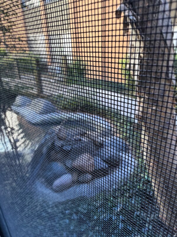 Foto del edificio - 3776 Alabama St