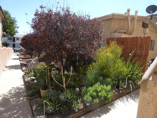 Building Photo - 2119 S Gaffey St
