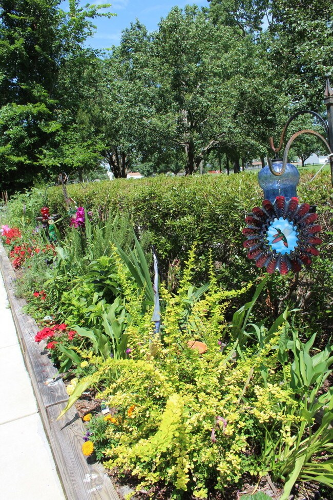 Lynnhaven Cove Senior Apartments Virginia Beach Va Apartments Com