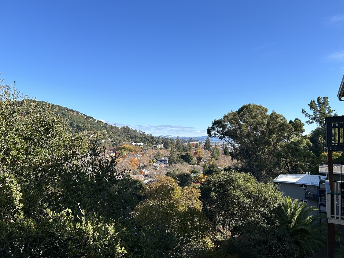 Back deck view - 49 Bayo Vista Way