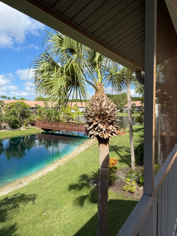 Foto principal - 1635 Windy Pines Dr