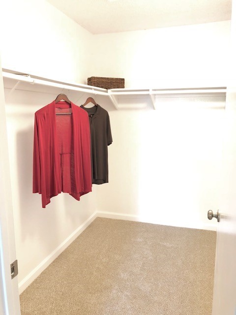 Walk-In Closets - Summer Brook Apartments: Your Oasis of Com...