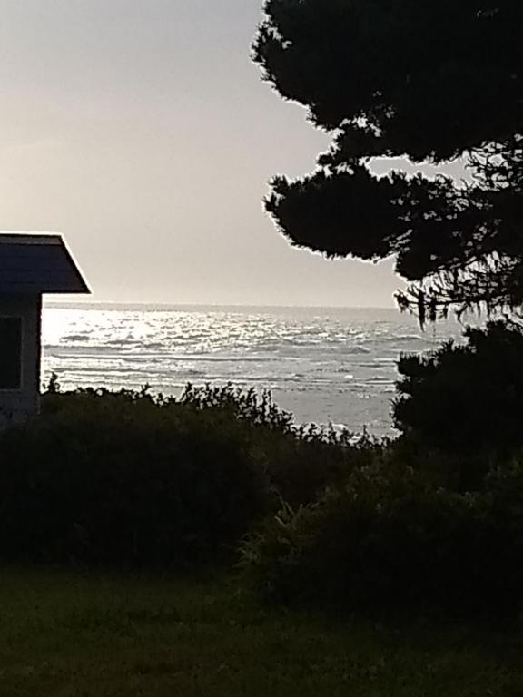 914 SW Waziyata Ave, Waldport, OR 97394 House Rental in Waldport, OR