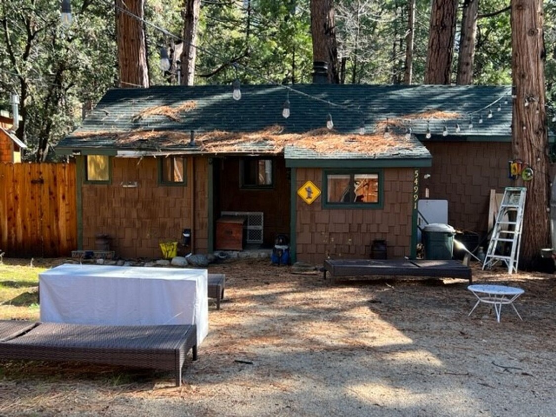 Primary Photo - Creek Cabin In Idyllwild