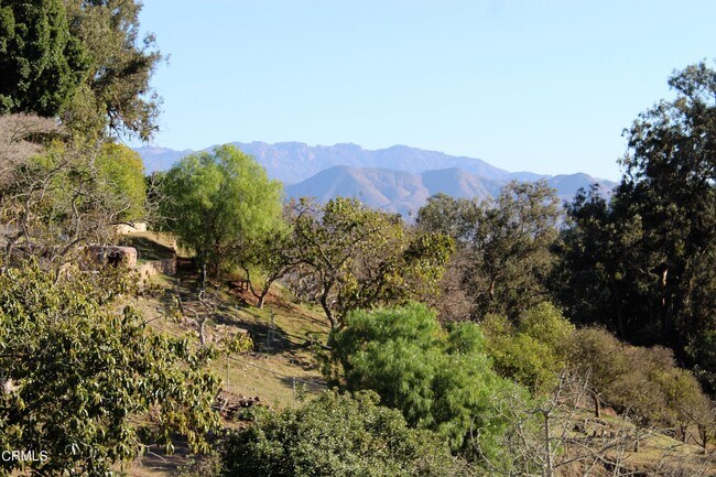 Building Photo - 20 Vientos Rd